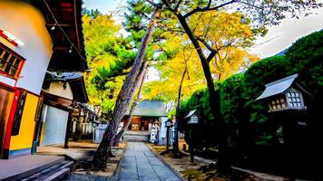 santuário aproximação e torii hokima Hikawa santuário.hokima Hikawa santuário, uma santuário dentro nishihokima, Adachi ala, Tóquio, Japão. foto