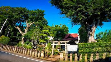 torii do uma santuário dentro uma residencial área izumi kibune santuário.izumi kifune santuário dentro izumi, suginami ala, Tóquio, Japão isto é disse para ter fui construído durante 1264-1275. foto