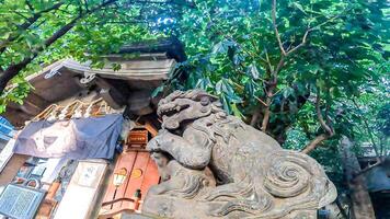 guardião cachorros do Inari kio santuário, uma santuário dentro kabukicho.inari kio santuário, uma santuário dentro kabukicho, Shinjuku-ku, Tóquio a só santuário dentro Japão este consagra a demônio rei gogen. foto
