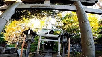 shimane washi santuário, localizado dentro shimane, Adachi ala, Tóquio, Japão.isto área é disse para ter fui a antigo enseada, Onde a Deuses desembarcou de barco, e isto é disse este takeru takeru do Japão adorado foto