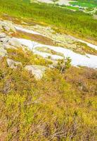 neve e gelo no panorama de paisagem de verão de hemsedal noruega. foto