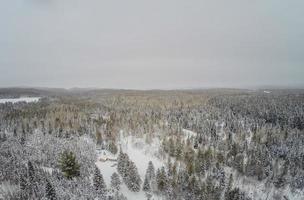 vista aérea da floresta e da pequena cabana de madeira de toras canadenses durante o inverno.