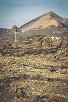 timanfaya nacional parque dentro lanzarote, canário ilhas, Espanha foto