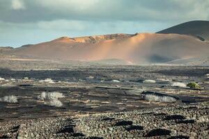 vinhas dentro la géria, lanzarote, canário ilhas, Espanha. foto