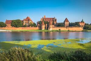 malbork castelo dentro Polônia medieval fortaleza construído de a teutônico cavaleiros ordem foto