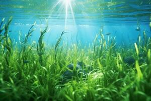 ai gerado embaixo da agua com algas marinhas foto