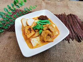 Curry porco pele arroz macarrão lista servido prato isolado em mesa topo Visão do tailandês Comida foto