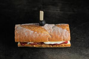 assado carne sub sanduíche isolado em Sombrio fundo lado Visão do café da manhã Comida foto
