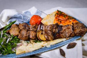 carne tikka boti seeh kabab do frango, Carneiro, carne bovina, Cordeiro com Pão Pita pão, tomate e cebola servido dentro prato isolado em Comida mesa topo Visão do meio leste especiarias foto