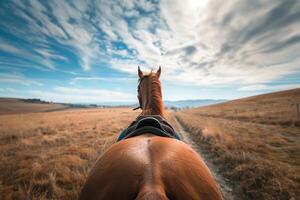 traseiro Visão do cavalo equitação dentro campo foto