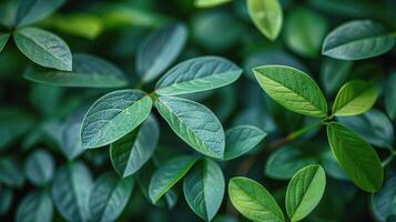 ai gerado fechar acima do uma verde folha em uma árvore foto