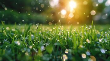 ai gerado luz solar através chuva em Relva foto