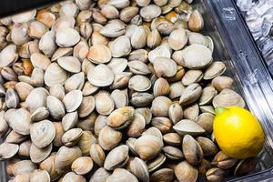 amêijoas no balcão de peixe de um restaurante foto