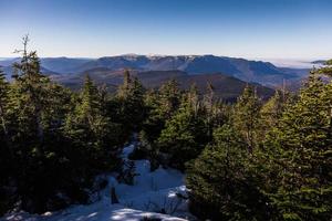 vista elevada da trilha de caminhada na floresta da montanha richardson em quebec, canadá foto