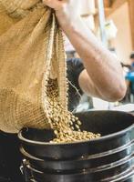 colhedor despejando grãos de café crus em um balde foto