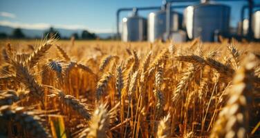 ai gerado trigo em plano terra com aço silos foto