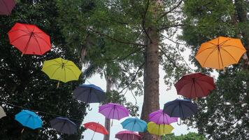 colorida guarda-chuvas suspensão contra uma azul céu fundo foto