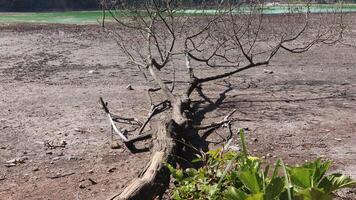 telaga Warna vulcânico lago dentro a Dieng platô durante a seco estação parece seco. foto