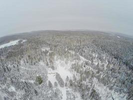 vista aérea da floresta e da pequena cabana de madeira de toras canadenses durante o inverno. foto