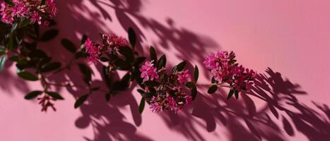 ai gerado imergir você mesmo dentro a delicado beleza do cereja flores Como elas adornar a galhos do uma florescendo árvore foto