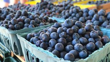 orgânico amoras em a mercado. foto