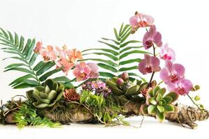 floral arranjo com tropical folhas e orquídeas. tropical flor decoração em árvore ramo em branco fundo. foto