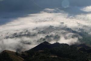 acima a nuvens, majestoso montanha topo Visualizações com deslumbrante floresta cenário foto