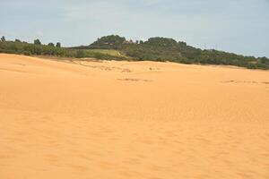 a textura do areia dentro a deserto Como uma natural fundo. foto