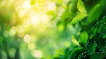 lindo natureza Visão do verde folha em borrado vegetação fundo dentro jardim e luz solar com cópia de espaço usando Como fundo natural verde plantas panorama ecologia fresco papel de parede foto