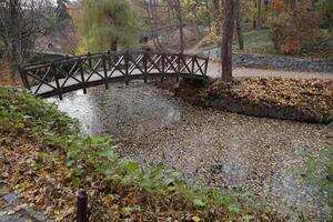 lindo natureza outono panorama com pequeno ponte. cenário Visão em outono cidade parque com dourado amarelo folhagem dentro nublado dia foto