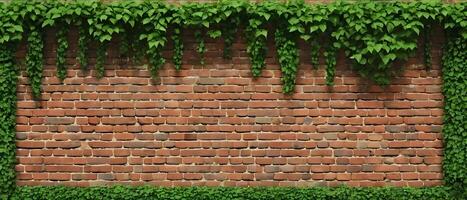 velho tijolo blocos parede e verde rastejador, retro parede de pedra com cópia de espaço, alvenaria exterior brincar foto