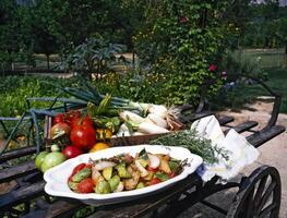 assado legumes em uma branco prato em a velho carrinho dentro Provença, sulista França foto