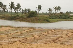 pescadores Vila às a de praia do grande papai, benin foto