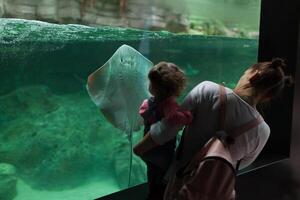 peito, França 31 pode 2018 mãe e dele pequeno filha estão olhando às mar peixe e animais dentro a aquário do a Oceanópolis foto