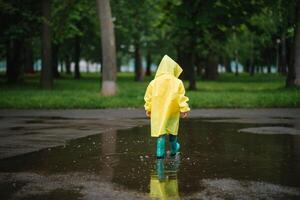 pequeno Garoto jogando dentro chuvoso verão parque. criança com guarda-chuva, à prova d'água casaco e chuteiras pulando dentro poça e lama dentro a chuva. criança caminhando dentro verão chuva ao ar livre Diversão de qualquer clima. feliz infância. foto