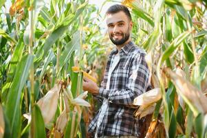 uma homem inspeciona uma milho campo e parece para pragas. bem sucedido agricultor e agro negócios. foto