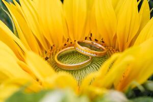 lindo Casamento argolas dentro uma Boa claro. foto