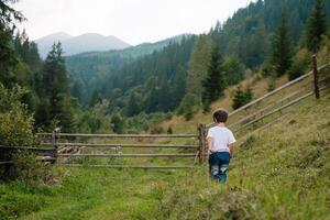 pequeno Garoto caminhando perto do uma montanha Vila foto