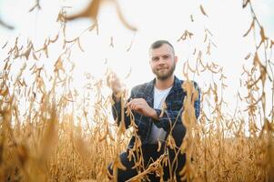 agricultor agrônomo dentro soja campo verificação plantações. orgânico Comida Produção e cultivo foto