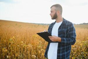 agricultor agrônomo dentro soja campo verificação plantações. orgânico Comida Produção e cultivo foto