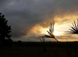 espetacular pôr do sol sobre, laranja Sol Aumentar acima sobre a horizonte foto