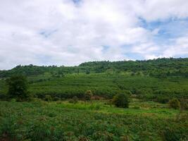 florestas e montanhas dentro a colina. foto