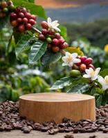 esvaziar madeira pódio cercado de café feijões com café plantar com vermelho fruta foto