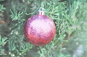 Natal dia ou Natal decoração , Natal bola em pinho árvore foto