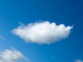 solteiro branco fofo cumulus nuvem dentro a azul verão céu foto