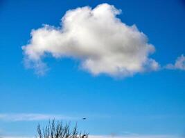 verão nuvens dentro a céu fundo foto