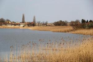 cana às a lago lado foto