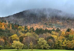 vermont outono cores foto