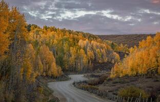 Kolob outono cores foto