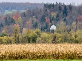 outono dentro rural Novo Iorque foto